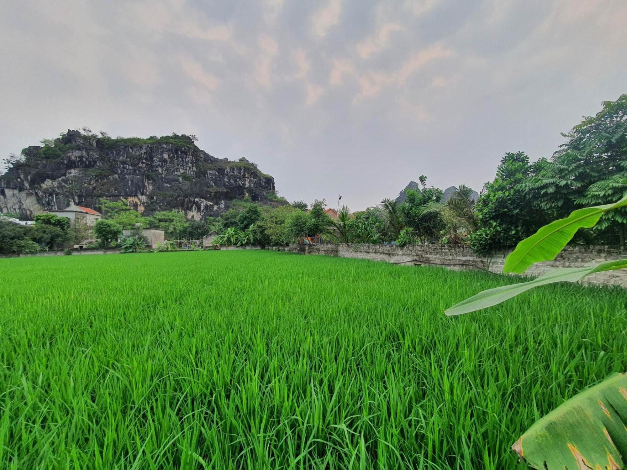 Trang An Garden Bungalow 닌빈 외부 사진